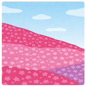 flower_shibazakura
